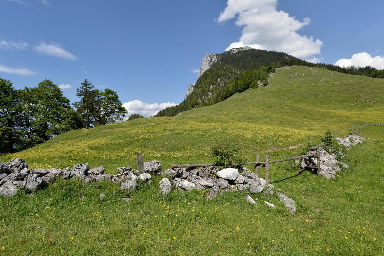 Отель Ritzau Alm Эббс Экстерьер фото