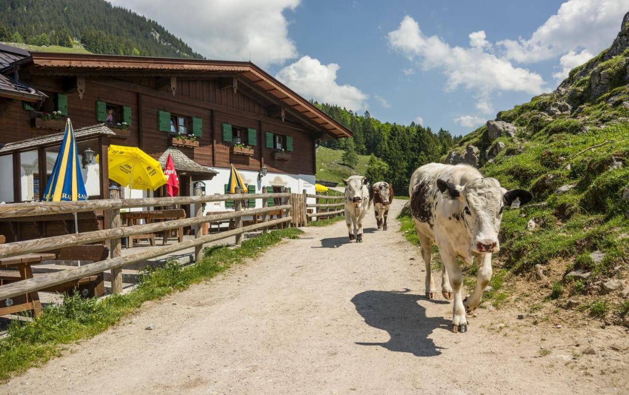 Отель Ritzau Alm Эббс Экстерьер фото